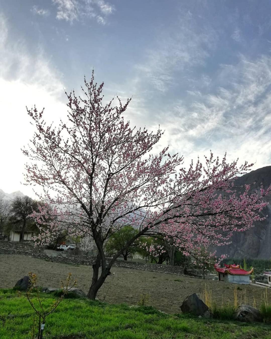 Hikal Guest House Karimabad  Экстерьер фото